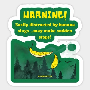 Banana Slugs are so Humboldt! Sticker